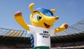 Football: Brazil's World Cup mascot named 'Fuleco'