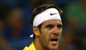 Del Potro to face Isner in Washington final