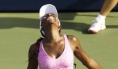 Rogers Cup: Venus falls in first round; Djokovic entertains