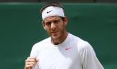 Wimbledon: Del Potro crushes Ferrer, to face Djokovic next
