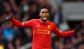 Liverpool's Sturridge sidelined for up to eight weeks