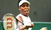 Sports Shorts: Venus Williams, Tomas Berdych bare it all