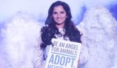 First Look! 'Angel' Sania Mirza campaigns for PETA