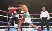 On a roll, Vijender records hat-trick of knockout wins on pro circuit