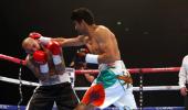 Vijender unfazed despite bout postponement