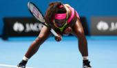 'Fan coach' helps Serena focus on way to quarters