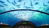 An underwater tennis court? Now that's cool!