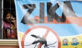 How to beat Zika? WHO prescribes safe sex and avoiding poor areas