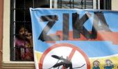 Why Zika virus holds no threat to Rio Olympics