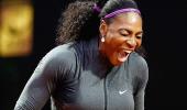 Serena falls ill after eating dog food