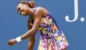 Tennis star Venus Williams at fault in fatal car crash