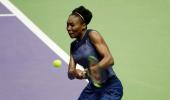 Venus survives marathon as Pliskova races into semis