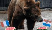 Buyan the bear predicts Croatia will beat France in World Cup final