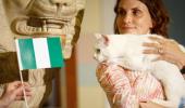 Feline fortune-teller tips Nigeria to beat Argentina