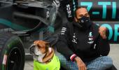 Arise, Sir Lewis? I'm no unsung hero, says Hamilton