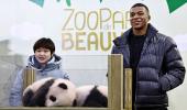 PIX: Mbappe becomes godfather to panda cub