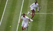 Lure of Wimbledon grass too much for Venus to resist