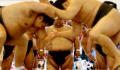 When Sumo Wrestlers Wrestle