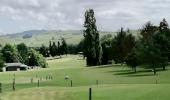 Sheep Fired! New Zealand golf course turns to mowers