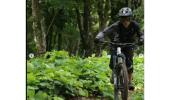 India's Lone Woman Downhill Rider Turns Trailblazer