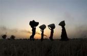India Per Capita Income to Hit High Threshold by 2047