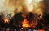 Fire at Jindal Poly Films Plant in Nashik: Firefighters Battling Blaze