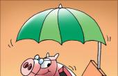 PFC, Betterinvest, Karur Vysya Raise Funds