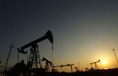 India Notifies New Vegetable Oil Regulations