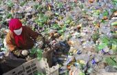 National Packaging Innovation Challenge: Startups & Sustainability