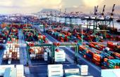 TCI's Q4 Profit Rises 11.4% to Rs 115.1 Crore