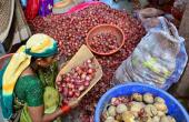 Onion Processing for Maharashtra Farmers