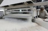 India Allows Pharma Sugar Exports
