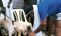 PHOTOS: Dog lover Kohli comes to the fore in Chennai