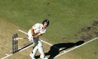 Ashes: Malan savours maiden ton after 'fun' battle with Aus pacemen