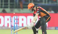 Williamson rues letting Delhi off the hook