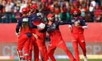 IPL: RCB thrash Punjab, seal playoff spot