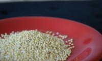 Eating healthy: 4 ways to cook millet