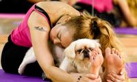 Why dogs make great yoga companions