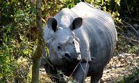 Kaziranga to Kerala: Pix that define India's beauty