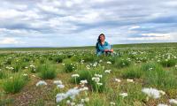 Mystical Mongolia