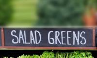 7 Greens You Ought To Be Eating