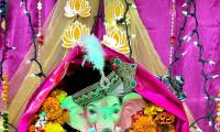Lights, Flowers For Lord Ganesha