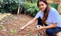 MumbaiU: Learn Astronomy, Drama, Gardening