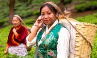 India's Tea Giant Just Got British Roots