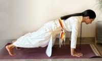 Yoga Special, Day 4: Phalakasana