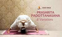 Yoga Special, Day 5: Prasarita Padottanasana