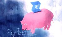 Beware High-Fee, Low-Return Funds
