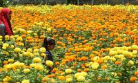 How Onam Is Making Kerala's Women Prosperous
