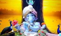 Ganesha Pics: From Palakkad To Seattle