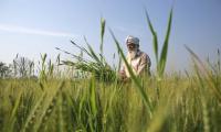 Want To Buy Farm Land?